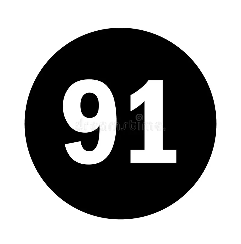 91网官网入口|91网页浏览器免费版|新91视频更新与热门推荐