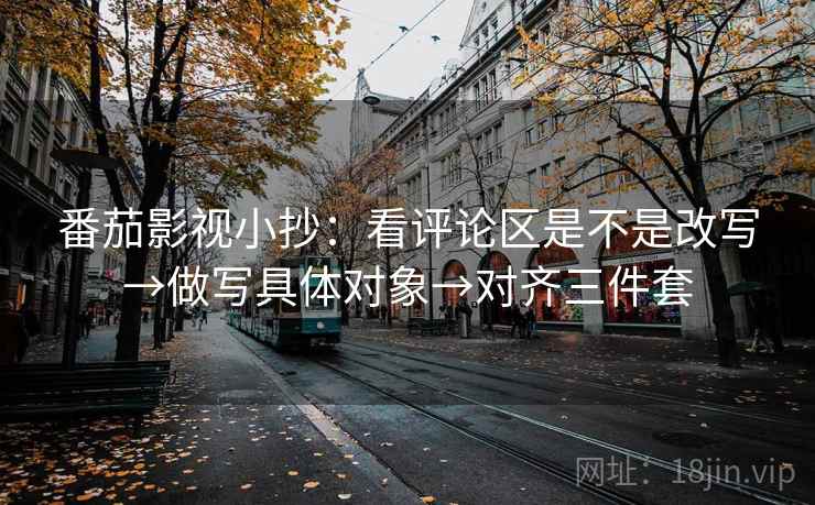 番茄影视小抄：看评论区是不是改写→做写具体对象→对齐三件套