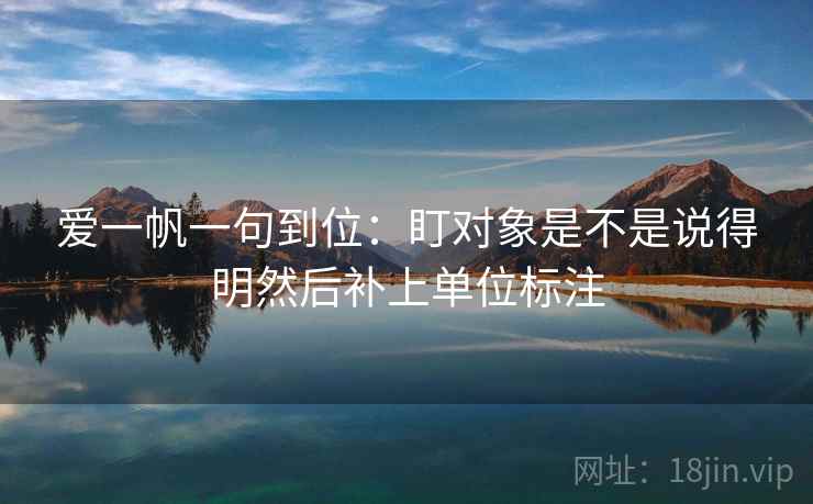 爱一帆一句到位：盯对象是不是说得明然后补上单位标注
