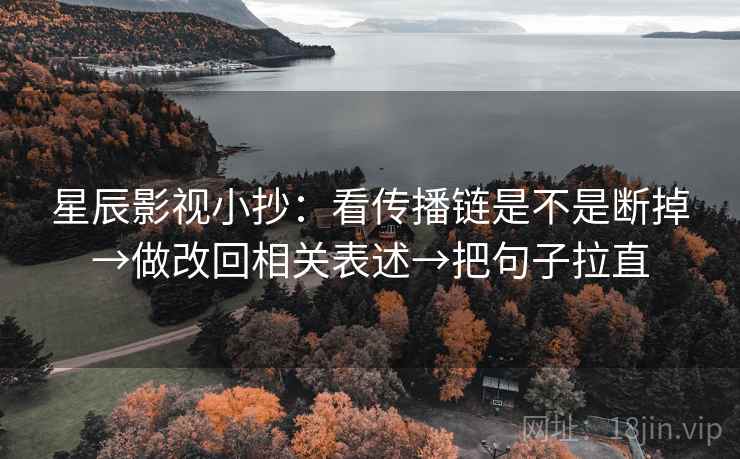 星辰影视小抄：看传播链是不是断掉→做改回相关表述→把句子拉直