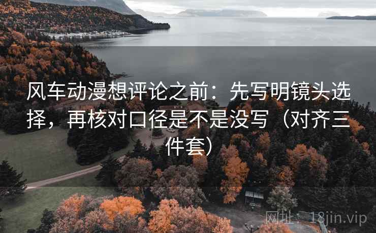 风车动漫想评论之前：先写明镜头选择，再核对口径是不是没写（对齐三件套）